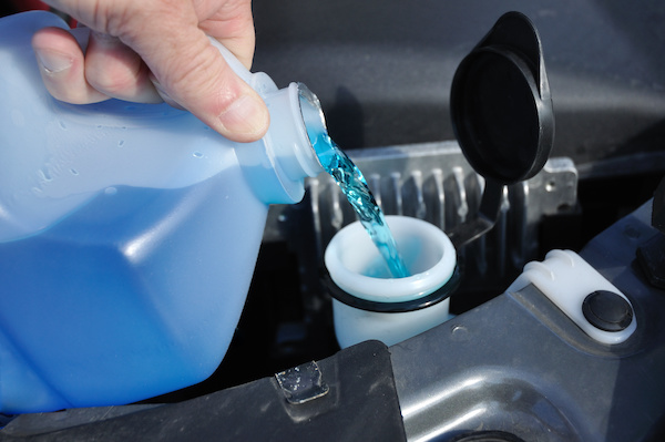 Check the Windshield Washer Fluid